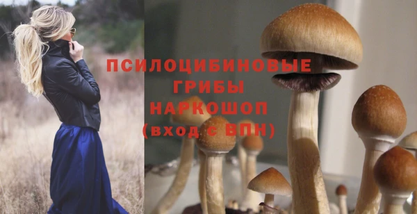 каннабис Арсеньев