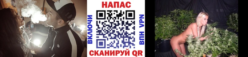 Марихуана план Белово
